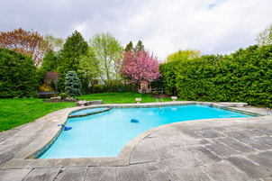 Picture of backyard pool with regular concrete decking.  Redbud tree in the background along with other green trees.